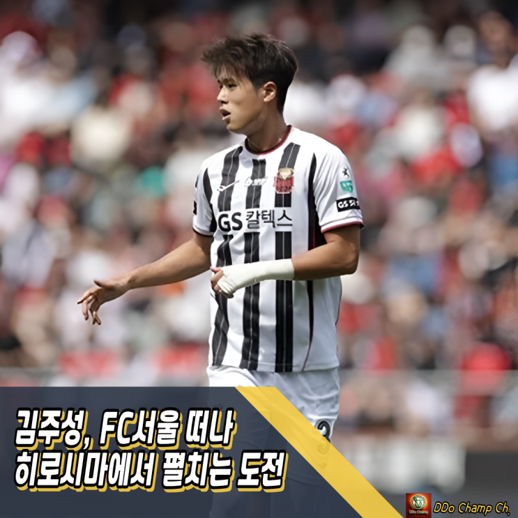 프로축구 선수 <b>김주성</b>, FC서울 떠나 <b>히로시마</b>에서 펼치는 도전