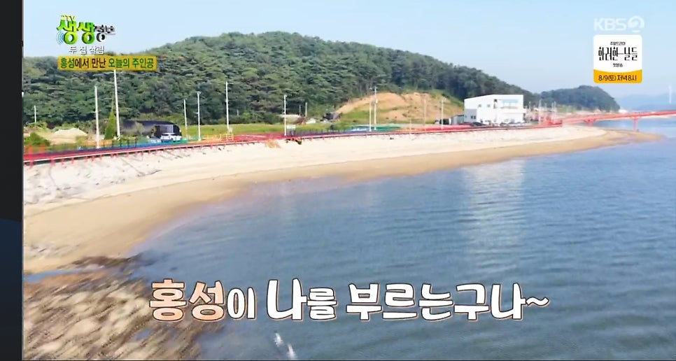 나빌레라 소극장 사진 6