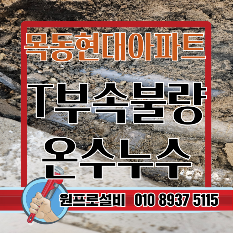  목동현대아파트 온수 누수, 원인은 T부속 불량!-꼼꼼한 누수탐지로 피해 최소화한 사례