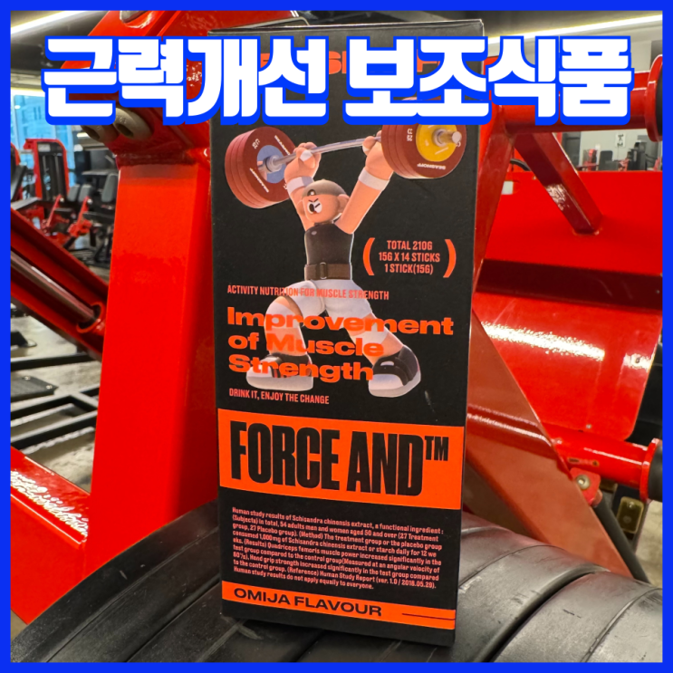  근력개선에 좋은 헬스 스포츠 기능성 아미노산 에너지 부스터, 시즈노프 포스앤드