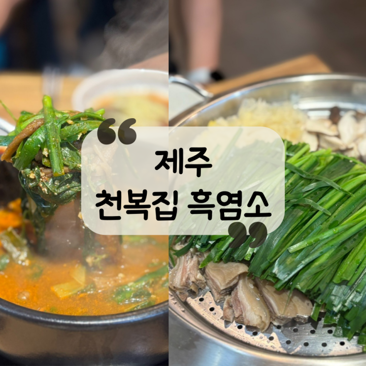  [제주 맛집] 초복 중복 말복 음식 추천, 원기회복 노형 흑염소 맛집 "천복집 흑염소"