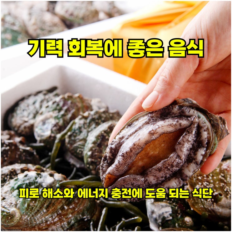  기력 회복에 좋은 음식 – 피로 해소와 에너지 충전에 도움 되는 식단