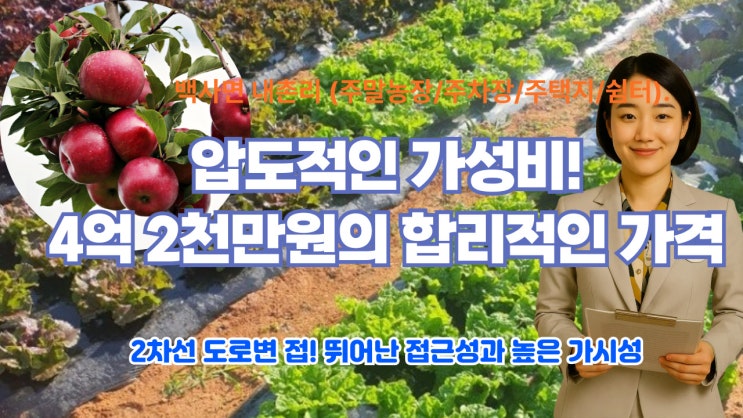   이천 백사면 내촌리, 4억 2천만원! 다목적 활용 가능한 2차선 도로변 토지 급매! (주말농장/주차장/주택지/쉼터) 