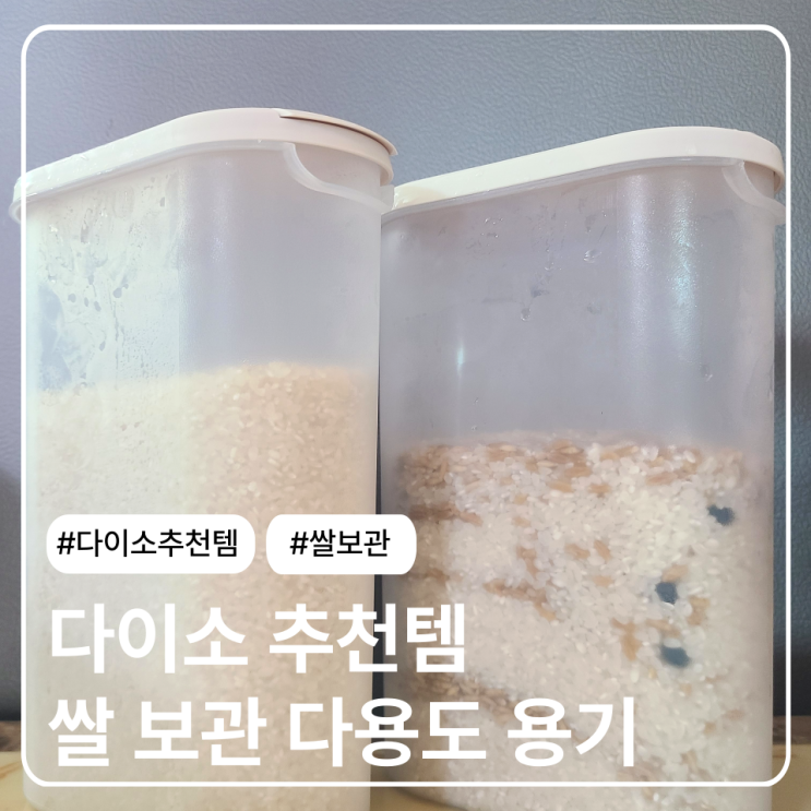  다이소 추천템 쌀 보관 실사용 후기