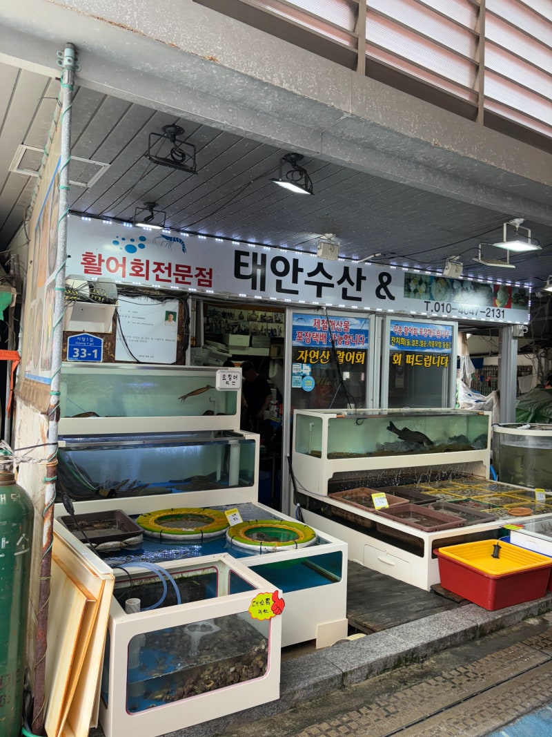 [태안/태안수산] 태안서부시장회포장/해산물포장은 여기로!!!(싱싱해요)(여름휴가)