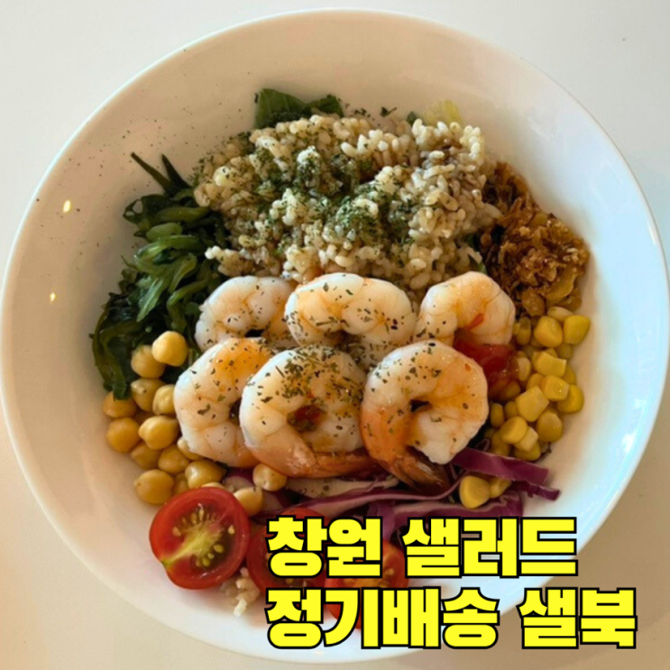  창원 샐러드 정기배송 샐북 방문 솔직후기
