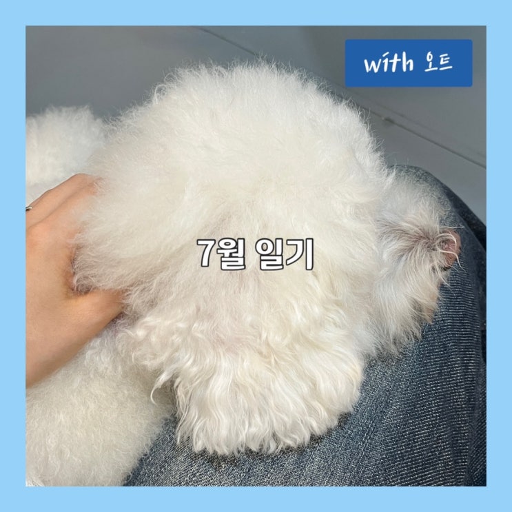  7월 일기, 한 달이 너무 빠름