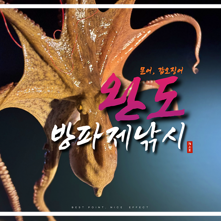  완도방파제낚시 문어 갑오징어 워킹 포인트 조행기
