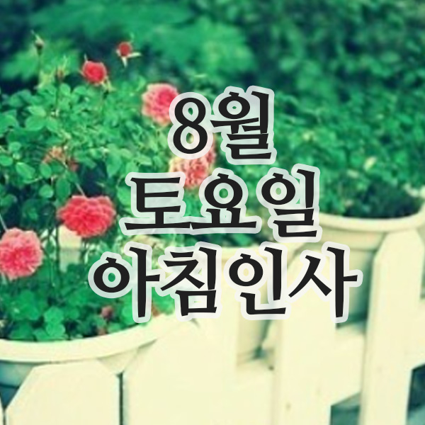  8월 인사말, 2일 토요일 아침 주말 인사(폭염주의)