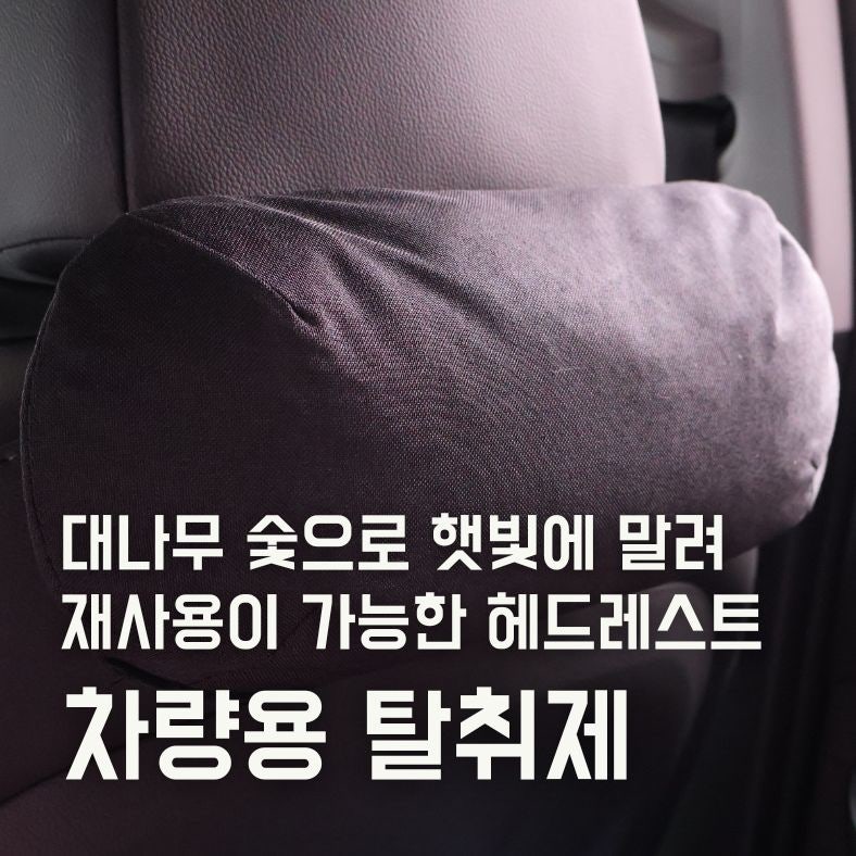 웰존 차량용탈취제 대나무 숯 습기제거 wellzone