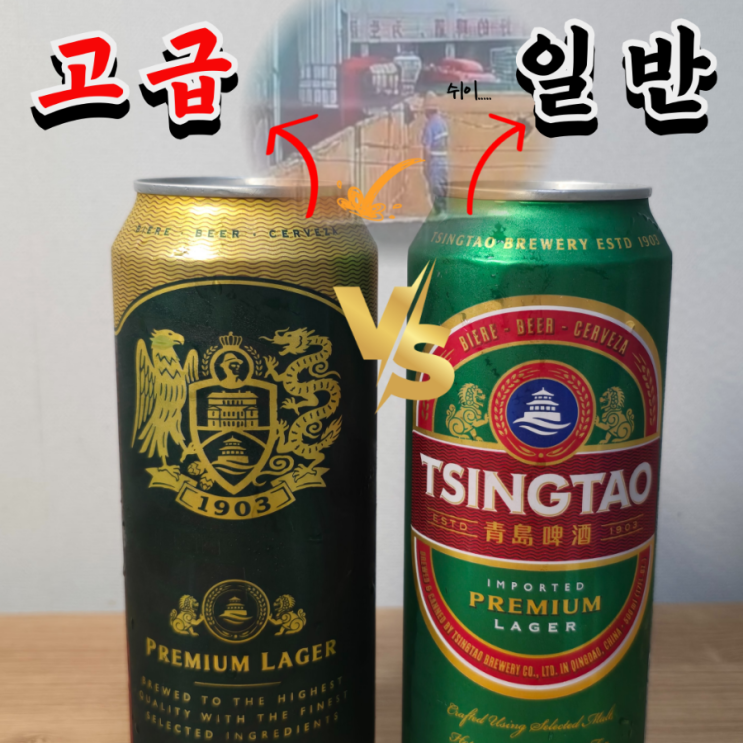  칭따오 1903 캔 솔직 후기 (일반 칭따오와 맛 비교)