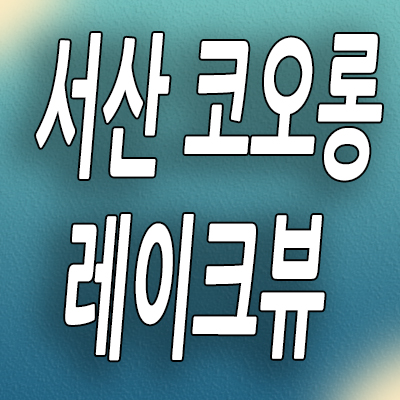  서산 중앙호수공원 오피스텔 읍내동 코오롱 레이크뷰 할인분양 선임대 원룸 1.5룸