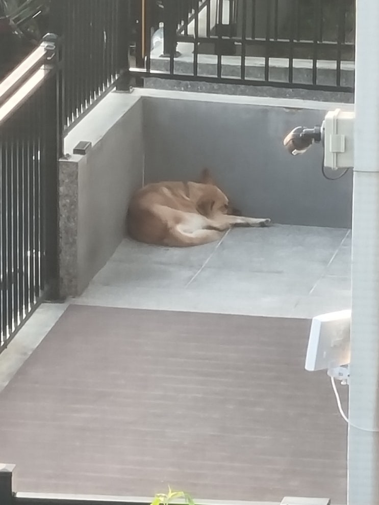  개더운날