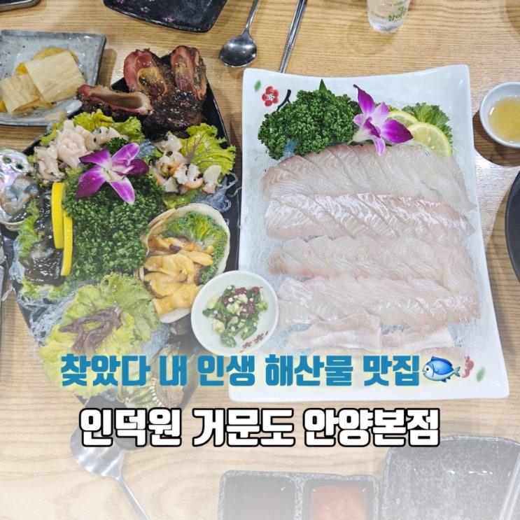  인덕원 회 맛집｜자연산 해산물 한 상, 거문도 안양본점 솔직 후기