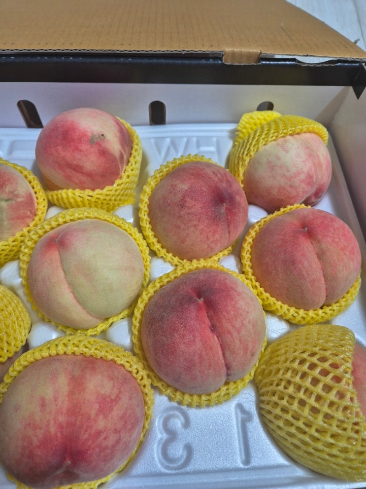  부모님도 알아주는 예당농원 햇사레복숭아