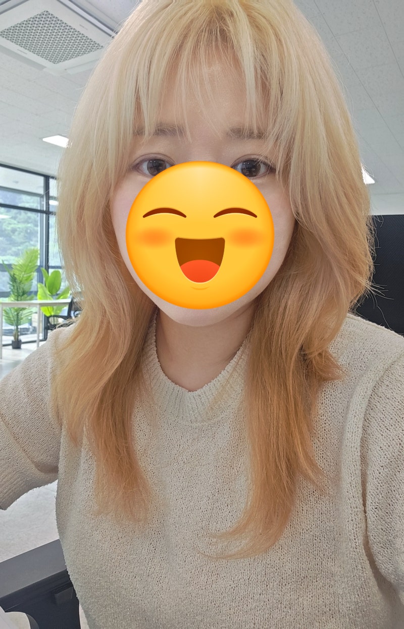 블라우풍트 에어이지 헤어스타일러 에어랩저렴이 내돈내산 후기 구매링크