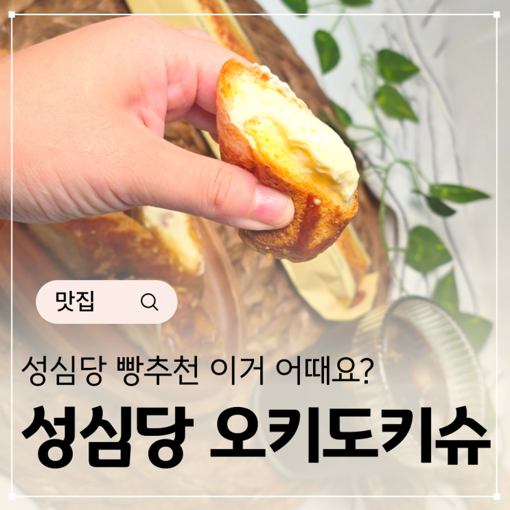  대전 성심당 케이크부띠끄 오키도키슈 커스터드크림 크로칸슈 쿠키슈
