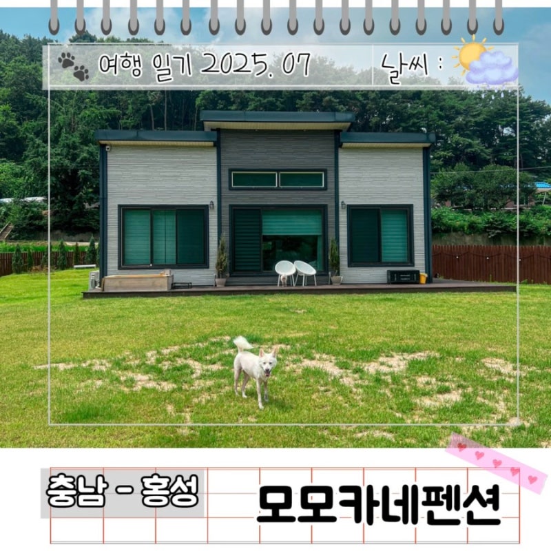 사진 7