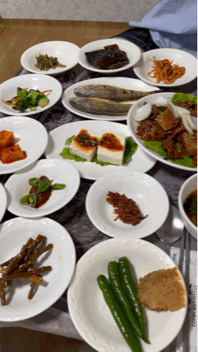  전남 강진 ‘설성식당’ : 병영 연탄불고기 백반맛집 반값여행 맛집 추천