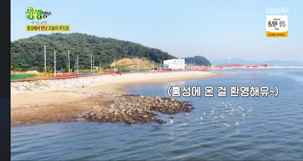 나빌레라 소극장 사진 5