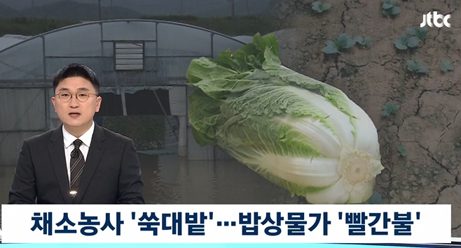   폭염·폭우가 덮친 밭…채소값 '두 배' 급등