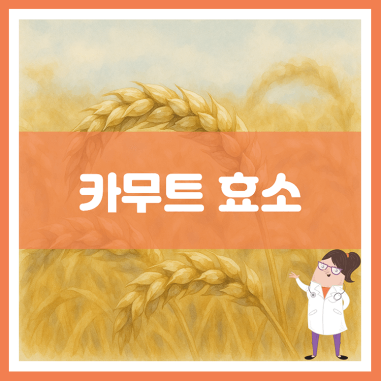  카무트 효소 효능 섭취방법 부작용