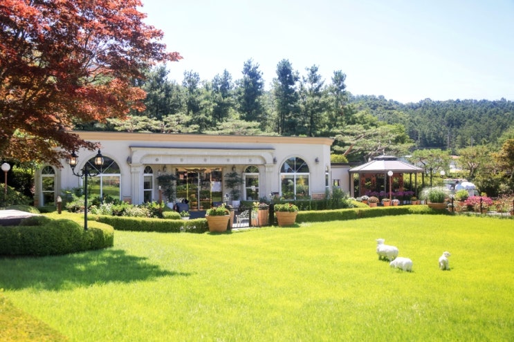  8월에 가볼만한곳, 양평카페 더그림! 여름 휴가철 힐링여행 자연 뷰와 시원한 실내 즐기기