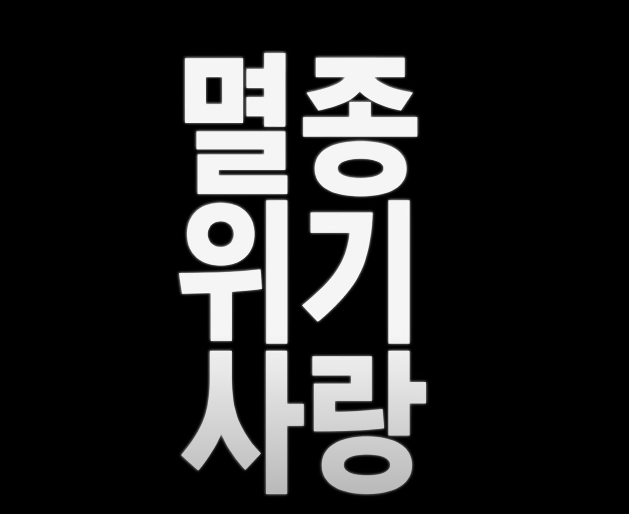  이찬혁 신곡 '멸종위기사랑' - 대중들의 평가 후기 모음