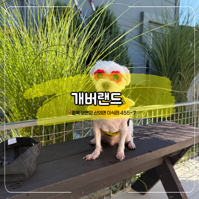 사진 9