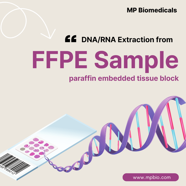  FFPE (포르말린 고정 파라핀 포매) 샘플에서 DNA, RNA를 성공적으로 추출하는 팁!