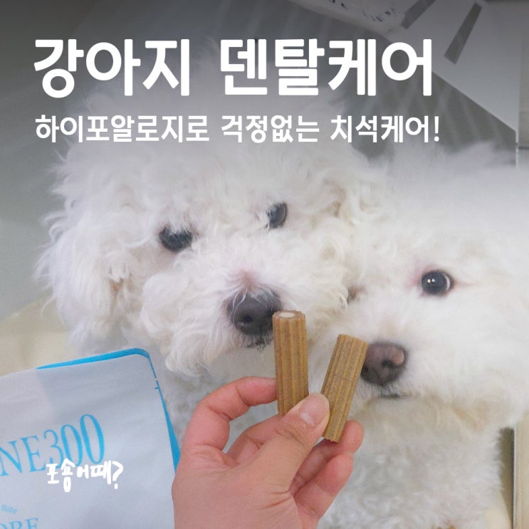  노견부터 알러지 강아지까지 OK! 강아지덴탈케어  양치껌 추천템