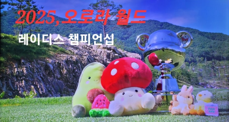 김리안,서어진,<b>최민경</b>. <b>오로라월드</b> 레이디스 챔피언십 생애 첫... 