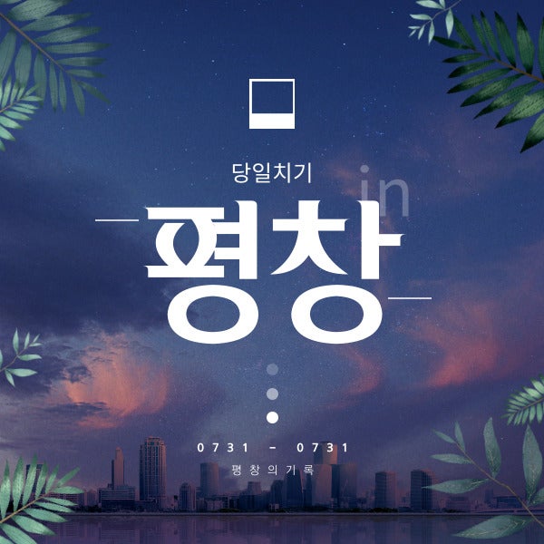 사진 6