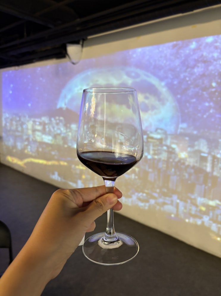  잠실송리단길 와인모임 빔더랜드:) 무제한 와인 즐기기 좋은 곳