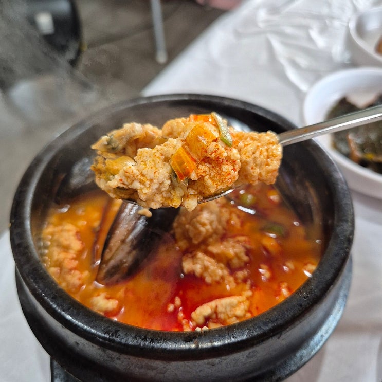  속초 순두부 맛집 초당본점 감자전 산채비빔밥 얼큰순두부 솔직 후기