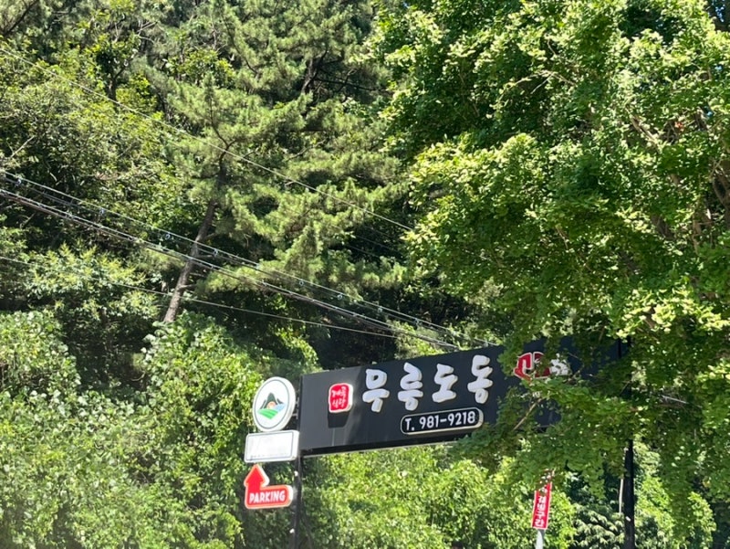사진 5