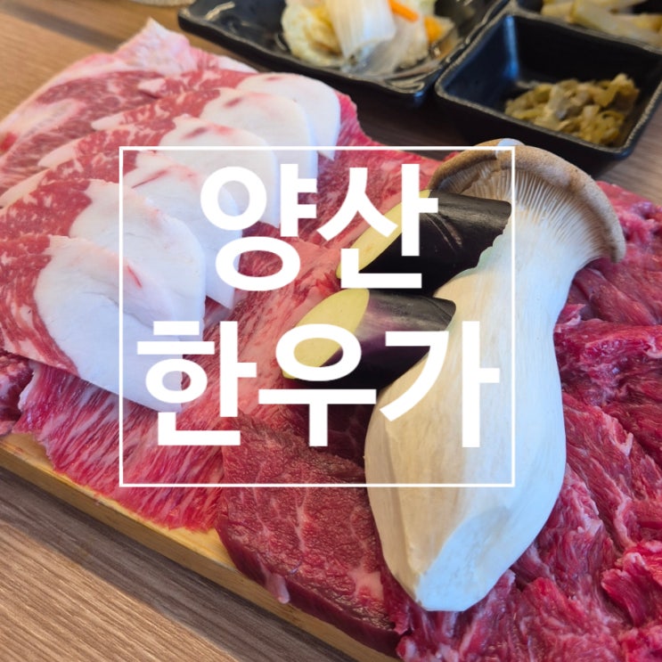  양산맛집 양산한우가 추천! 양산고깃집 가성비 한우로 새벽 3시까지 회사회식, 가족외식 완벽 해결!