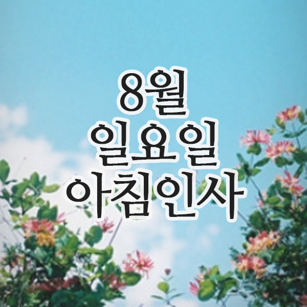  8월의 인사말, 3일 일요일 주말 아침인사