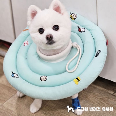 사진 6