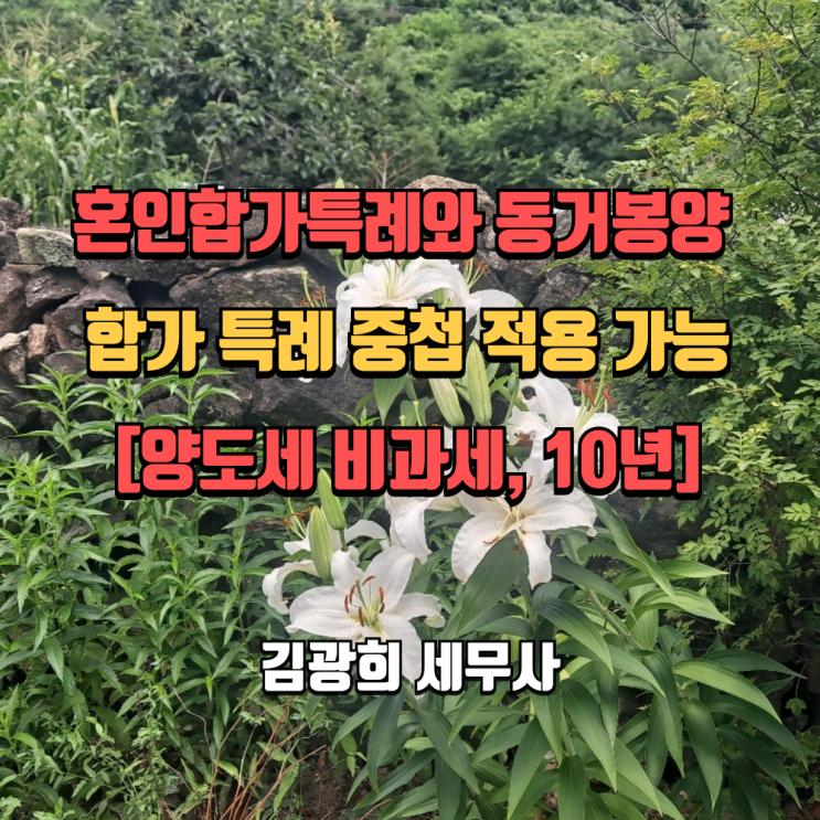  혼인합가특례와 동거봉양 합가 특례 중첩 적용 가능[양도세 비과세, 10년]