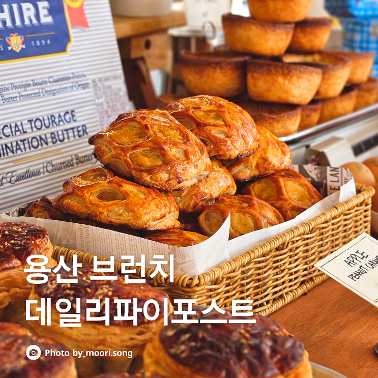  용산브런치 신용산역 카페 추천 서울애견동반 데일리파이포스트