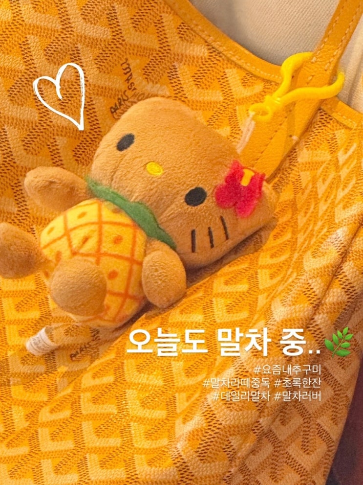  요즘 내 추구미 말차 라떼 일상/ 스타벅스 말차프라푸치노 커스텀