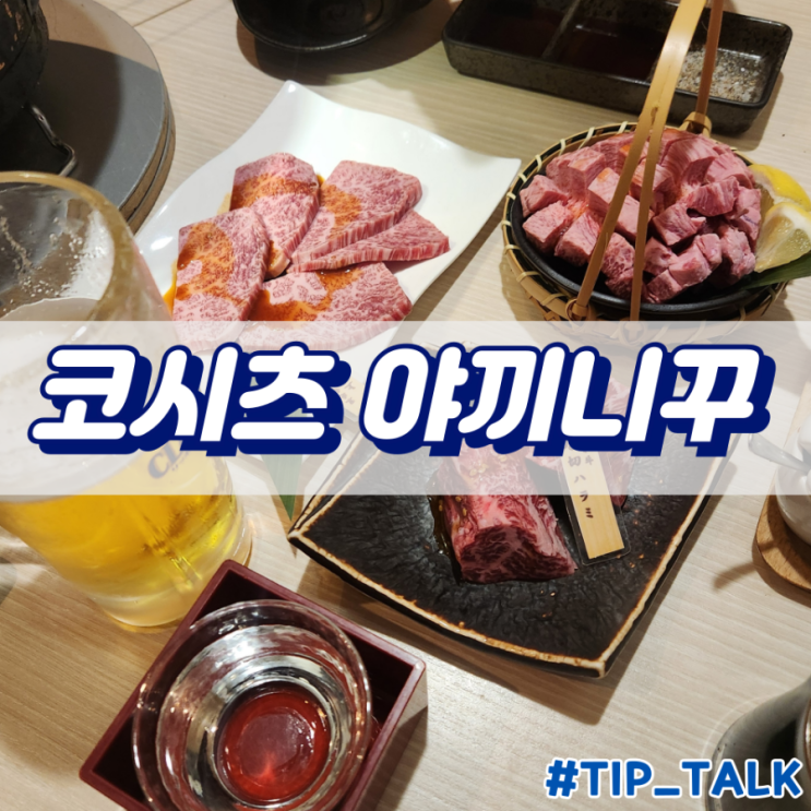  삿포로 야끼니꾸 추천 코시츠 야끼니꾸 츠바메 본점