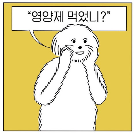  당신은 하루에 영양제를 얼마나 먹습니까? / 아무튼 영양제 - 오지은