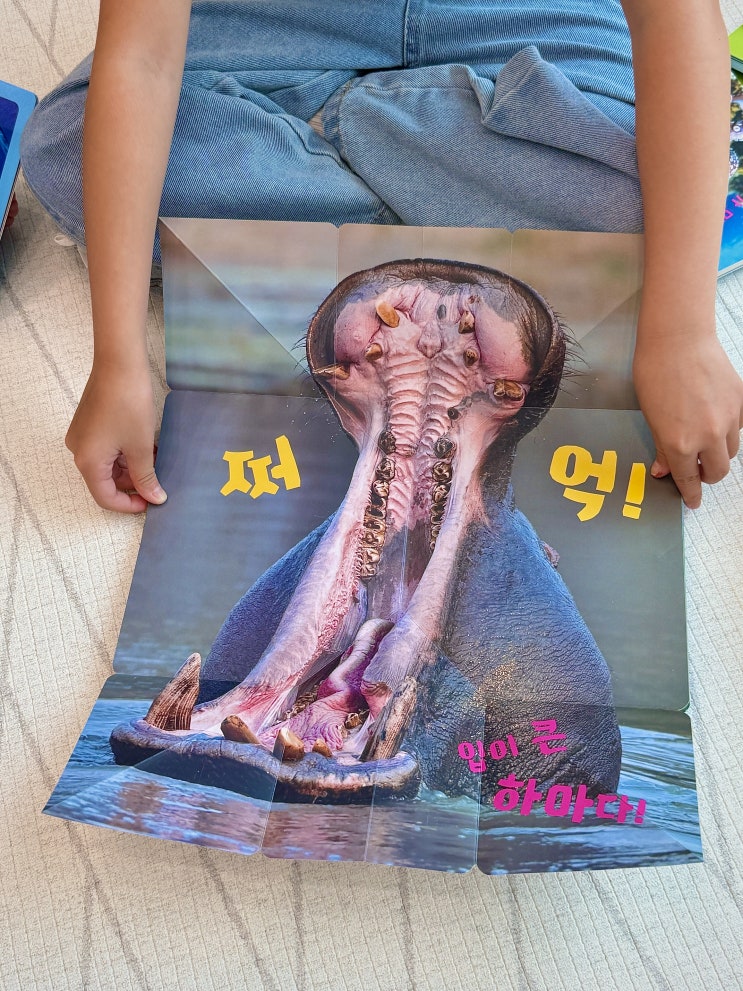  자연관찰 보드북 영아 전집추천 키즈탄탄 아기 첫 자연아 놀자