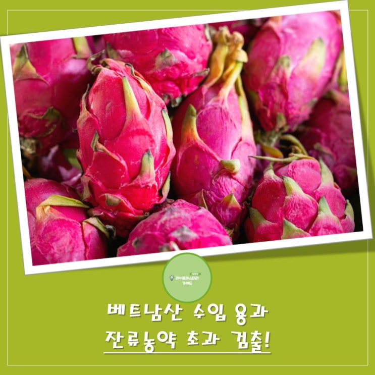  베트남산 용과 잔류농약 초과 검출로 판매 중단 및 회수 조치! 믿고 먹었던 용과, 독이 될 뻔한 사연! 티아벤다졸에 노출되면?