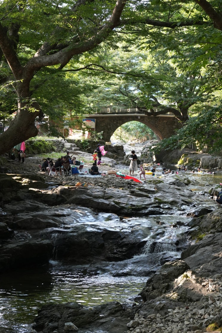  광주 근교 계곡 수영장, 취사가능 전남 계곡 순천 용오름계곡