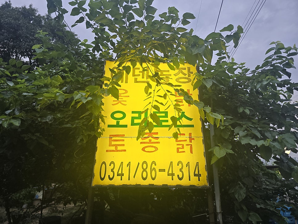 에덴농장 사진 1