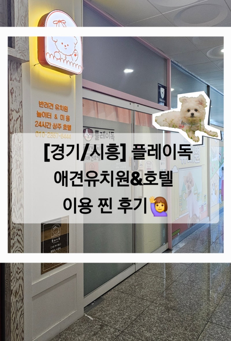 플레이독 애견유치원&호텔