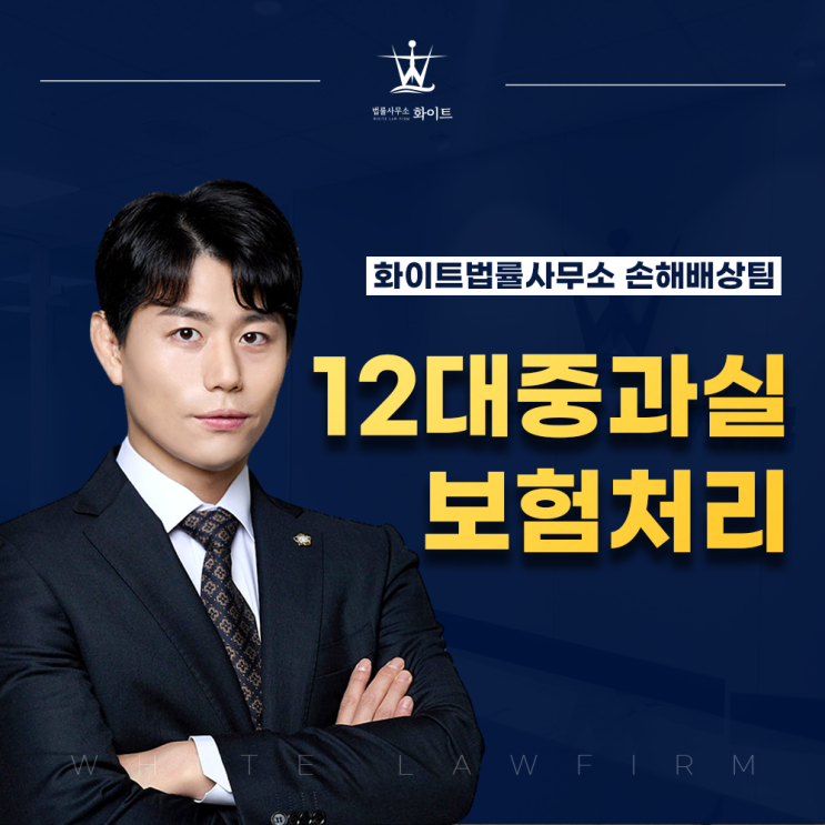  12대중과실 보험처리 절차 확인하고 실형 면하기